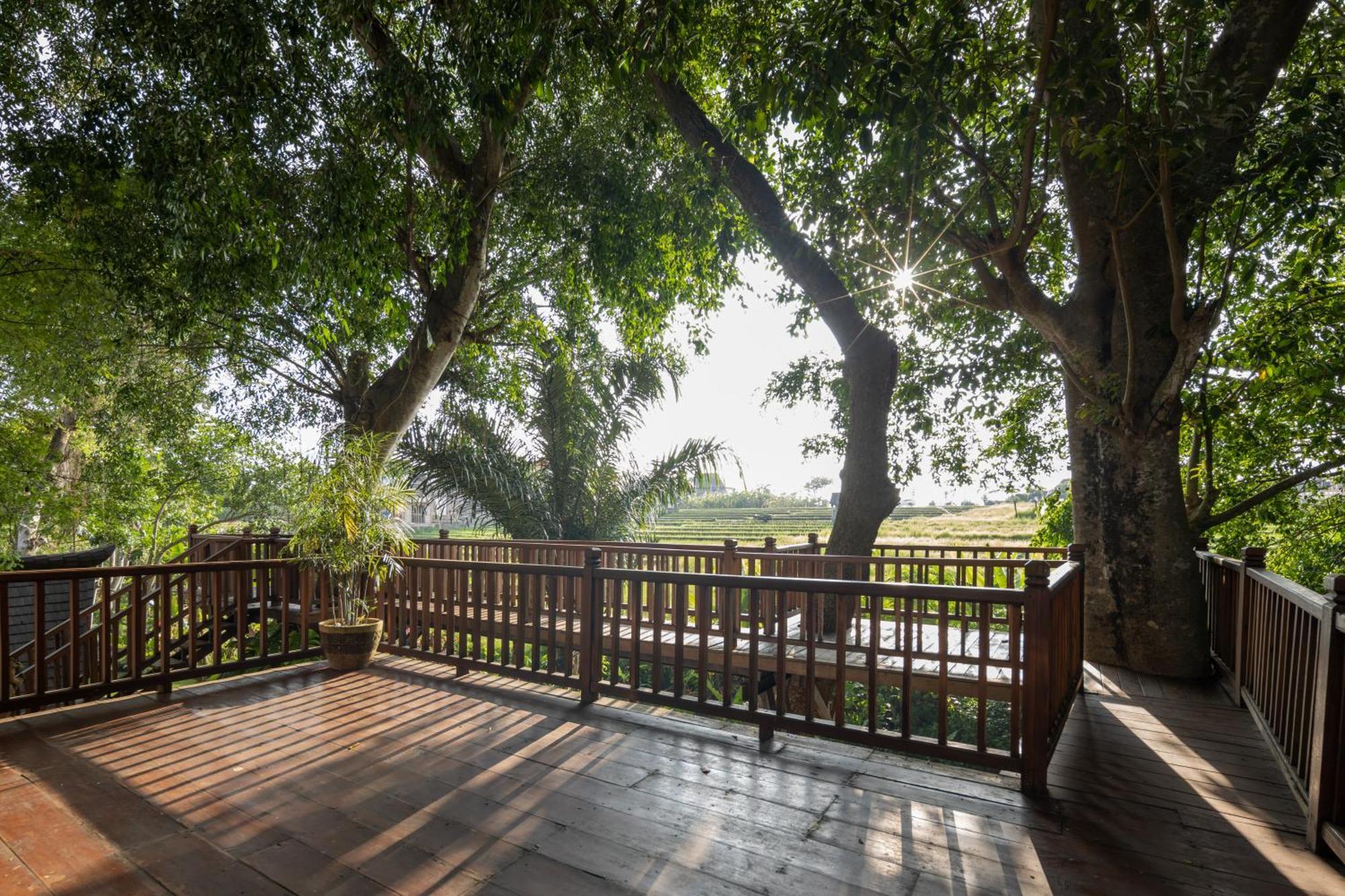 Villa Paripadi Private Villa&sanctuary Canggu (Bali)