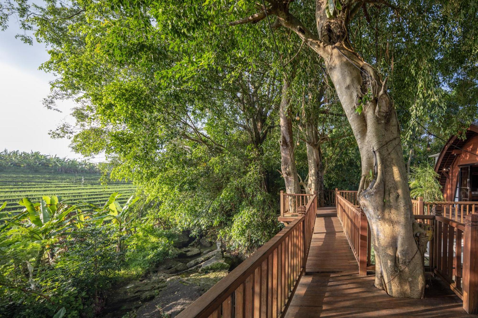 Paripadi Private Villa&sanctuary *